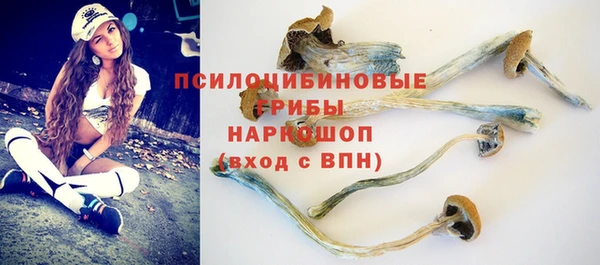 a pvp Иннополис