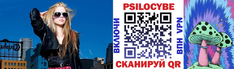 Купить  Канаш  Псилоцибиновые грибы прущие грибы 