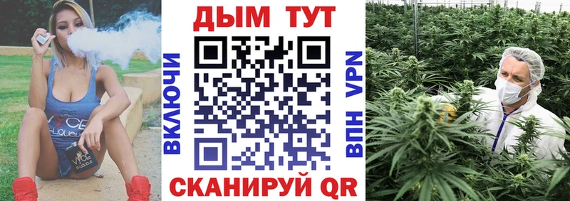 Купить  Канаш  Бошки марихуана индика 